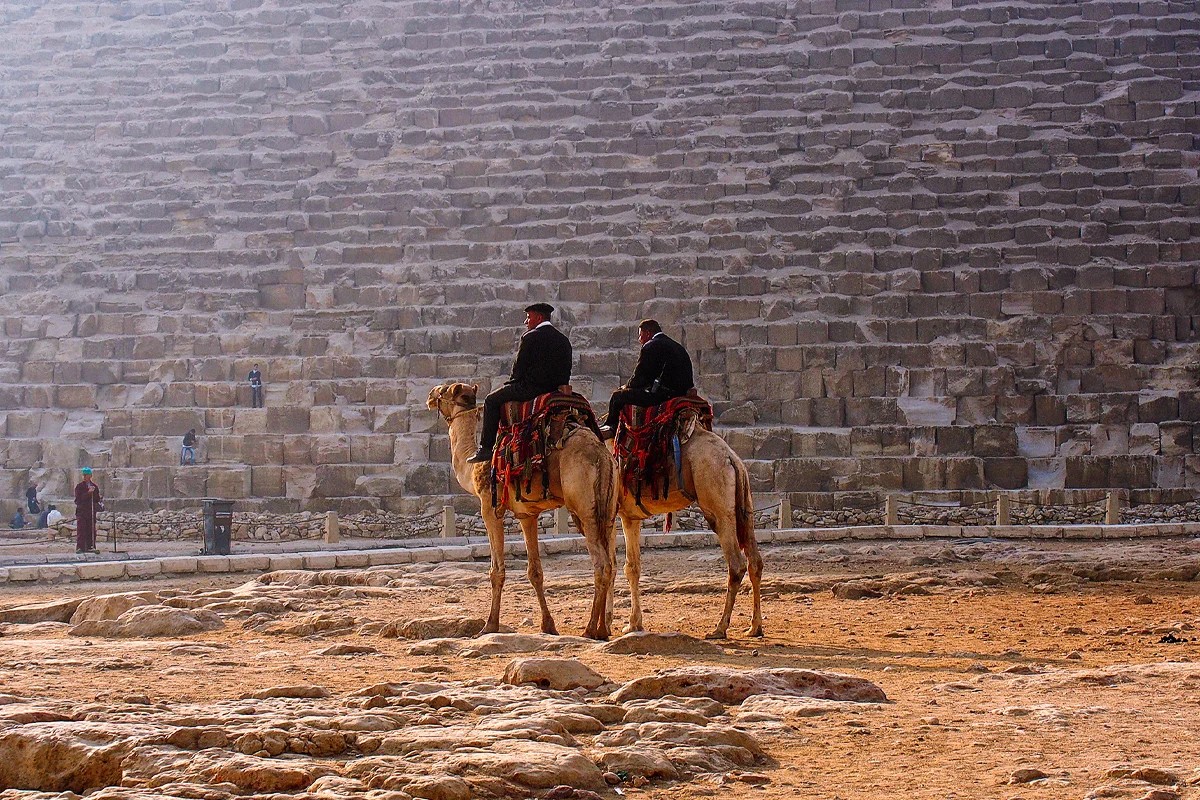 Camel Ride or Horse Around The Pyramids
