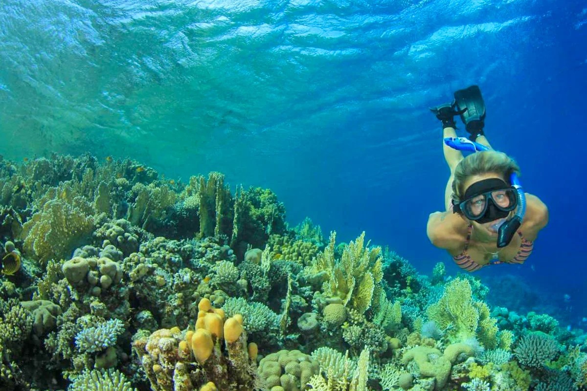 Snorkeling Trip at Hamata Islands From Marsa Alam