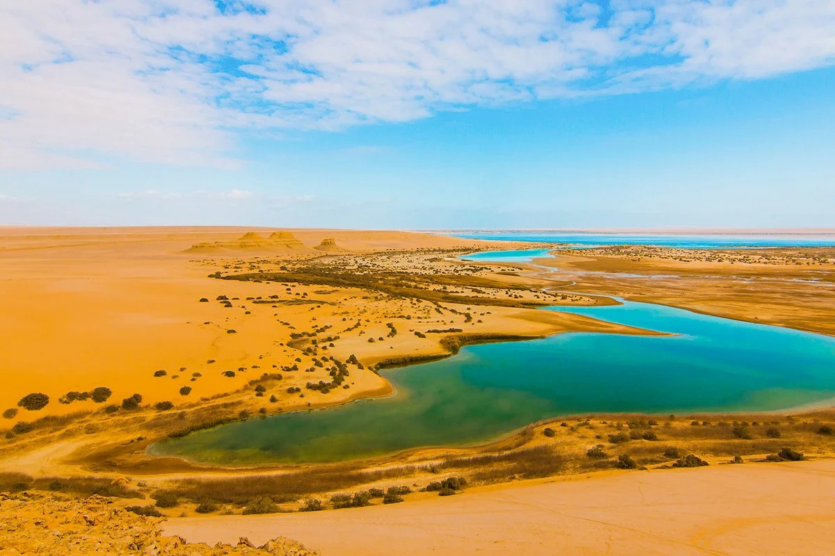 2 Days Fayoum Oasis Private Safari Tour